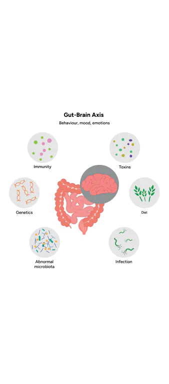 gut-brain axis