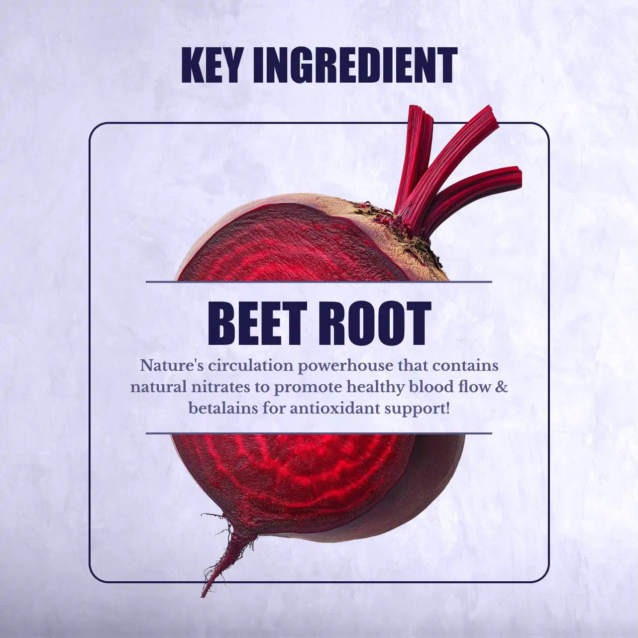 Beet Root