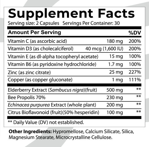 supplement facts