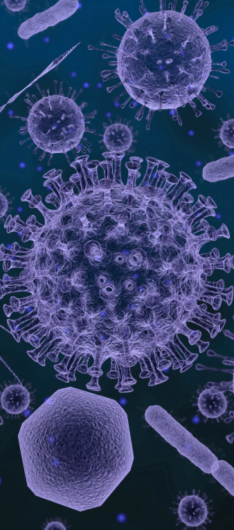 virus