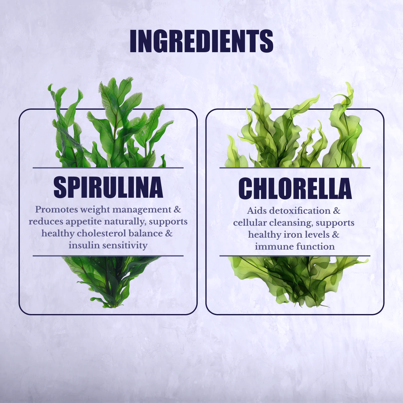 Spirulina & Chlorella Complex