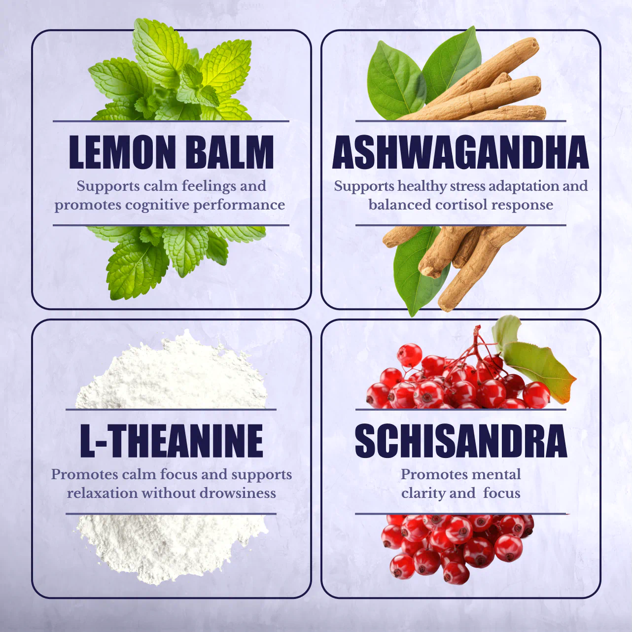 Stress Support Essentials