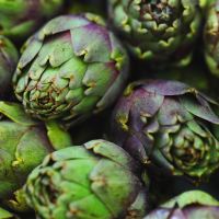 ingredient icon