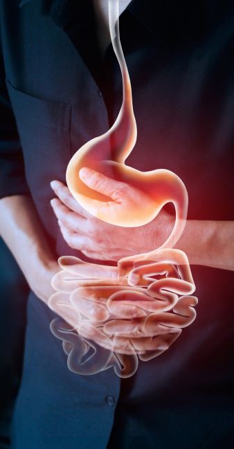 digestive-tract