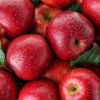 ingredient icon