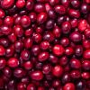 ingredient icon